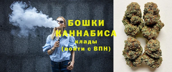 PSILOCYBIN Богородск