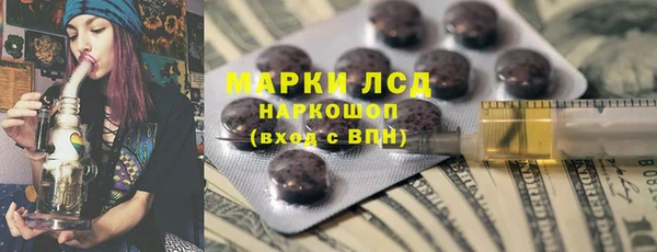 первитин Богданович